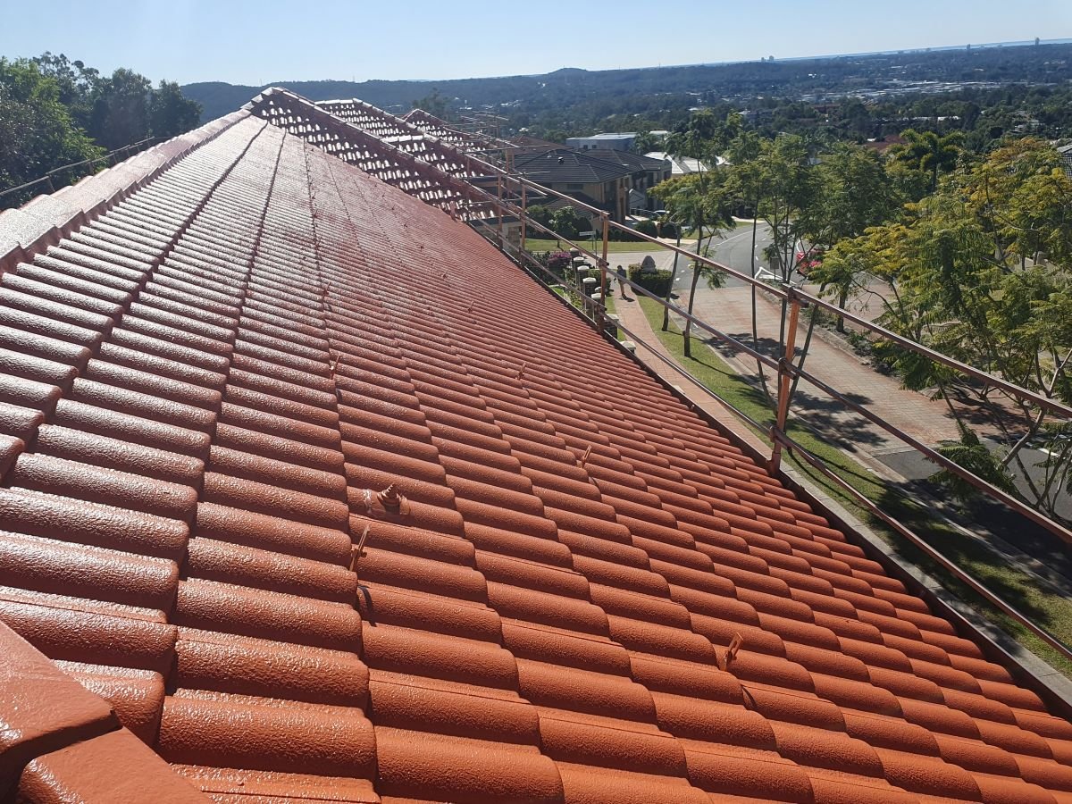 Roof Painting